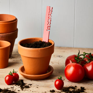 Pastel Fruit and Vegetable Plant Labels