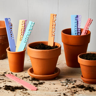 Pastel Fruit and Vegetable Plant Labels